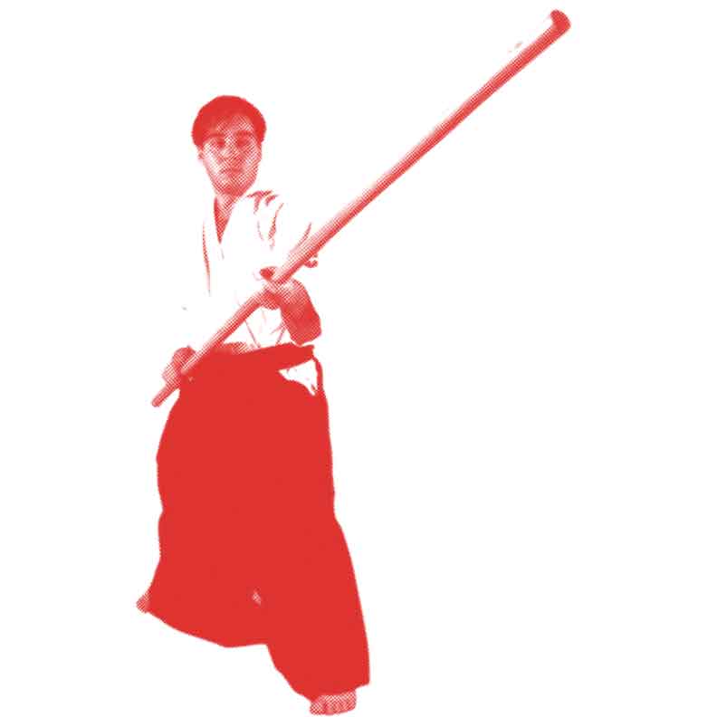 Arti marziali Mendrisio - studio delle armi tradizionali giapponesi